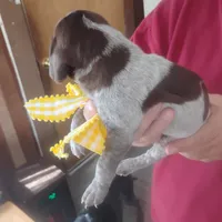 processed/a2194bc6-9d67-4e6b-adfe-9e345c36a889/listing/32527b57-55dd-4860-a6e7-708358be7b3c/39152277-7265-4d37-a226-9f02553e2d42