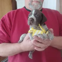 processed/a2194bc6-9d67-4e6b-adfe-9e345c36a889/listing/32527b57-55dd-4860-a6e7-708358be7b3c/3fc15547-c957-4b24-b00f-6cc94073ae1d