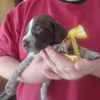 processed/a2194bc6-9d67-4e6b-adfe-9e345c36a889/listing/32527b57-55dd-4860-a6e7-708358be7b3c/dde3439c-56b8-4a8d-a377-203624d9ed26