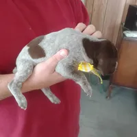 processed/a2194bc6-9d67-4e6b-adfe-9e345c36a889/listing/32527b57-55dd-4860-a6e7-708358be7b3c/e51029ee-bbfe-4bb1-a43d-e0c779dab934