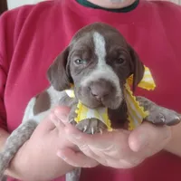 processed/a2194bc6-9d67-4e6b-adfe-9e345c36a889/listing/32527b57-55dd-4860-a6e7-708358be7b3c/ff36004b-9b64-458b-b605-6fa4c2cb6f4d