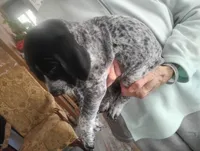 processed/a2194bc6-9d67-4e6b-adfe-9e345c36a889/listing/3e5033ed-f24d-4c16-a5ce-10143839171b/2f226dcd-931b-49b1-aff0-27265438c600