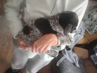 processed/a2194bc6-9d67-4e6b-adfe-9e345c36a889/listing/3e5033ed-f24d-4c16-a5ce-10143839171b/553ff7a6-4429-410b-a383-22864365b965