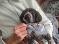 processed/a2194bc6-9d67-4e6b-adfe-9e345c36a889/listing/3e5033ed-f24d-4c16-a5ce-10143839171b/b7903a06-c0a0-47d5-a474-080c10cc96e1