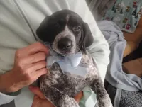 processed/a2194bc6-9d67-4e6b-adfe-9e345c36a889/listing/3e5033ed-f24d-4c16-a5ce-10143839171b/e33bb879-711c-4703-bec5-0633548c746a