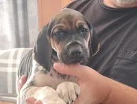 processed/a2194bc6-9d67-4e6b-adfe-9e345c36a889/listing/4907dce3-c3a7-4b93-a55e-fade88fbe365/12f8f170-50ae-4e33-9603-25f542d3a4b4