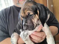 processed/a2194bc6-9d67-4e6b-adfe-9e345c36a889/listing/4907dce3-c3a7-4b93-a55e-fade88fbe365/16434291-f4c1-49e8-89c2-c45bcb451c64