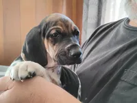 processed/a2194bc6-9d67-4e6b-adfe-9e345c36a889/listing/4907dce3-c3a7-4b93-a55e-fade88fbe365/1ede02a1-6444-450b-a3bb-25756803cf2e