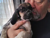 processed/a2194bc6-9d67-4e6b-adfe-9e345c36a889/listing/4907dce3-c3a7-4b93-a55e-fade88fbe365/342f464b-0383-451a-8d06-d8d6321b3643