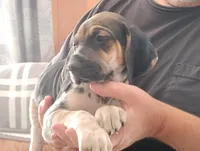 processed/a2194bc6-9d67-4e6b-adfe-9e345c36a889/listing/4907dce3-c3a7-4b93-a55e-fade88fbe365/57afa6ca-ba3e-4b6d-8f1a-781fc8b64f01