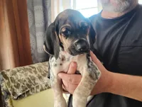 processed/a2194bc6-9d67-4e6b-adfe-9e345c36a889/listing/4907dce3-c3a7-4b93-a55e-fade88fbe365/8ab8379e-85fa-4875-9cd2-61cf55a6e2f8