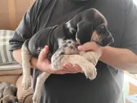 processed/a2194bc6-9d67-4e6b-adfe-9e345c36a889/listing/4907dce3-c3a7-4b93-a55e-fade88fbe365/f520e89c-0e02-46ac-abd5-d54373ff45fe