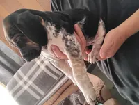 processed/a2194bc6-9d67-4e6b-adfe-9e345c36a889/listing/4907dce3-c3a7-4b93-a55e-fade88fbe365/f5979cfc-9159-45f2-a31b-1560f533acd4