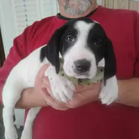 processed/a2194bc6-9d67-4e6b-adfe-9e345c36a889/listing/5482fbf8-2d99-4ea0-9586-7511ef593a93/036bdc90-2960-4742-afc7-240e699f88d0