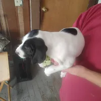 processed/a2194bc6-9d67-4e6b-adfe-9e345c36a889/listing/5482fbf8-2d99-4ea0-9586-7511ef593a93/27386c08-454f-4f27-be61-1a912787898a