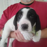 processed/a2194bc6-9d67-4e6b-adfe-9e345c36a889/listing/5482fbf8-2d99-4ea0-9586-7511ef593a93/5d9b49d5-cba6-4518-99ee-53a566872a71