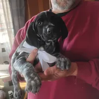 processed/a2194bc6-9d67-4e6b-adfe-9e345c36a889/listing/5dfb42d7-42ac-4ec7-85e3-b407ba7ac56a/04706d19-8ac7-4b40-a2d7-d930c4863bb0