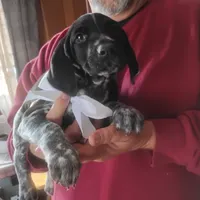 processed/a2194bc6-9d67-4e6b-adfe-9e345c36a889/listing/5dfb42d7-42ac-4ec7-85e3-b407ba7ac56a/6594ae87-9e9c-45c0-ade8-d2deb7cd2083