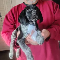 processed/a2194bc6-9d67-4e6b-adfe-9e345c36a889/listing/5dfb42d7-42ac-4ec7-85e3-b407ba7ac56a/7f57ebd2-a5c4-46b7-a6b7-b508e4b32d5b