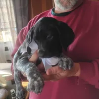 processed/a2194bc6-9d67-4e6b-adfe-9e345c36a889/listing/5dfb42d7-42ac-4ec7-85e3-b407ba7ac56a/8ad57f08-c0d6-45b2-b0ee-e4a851d22ced