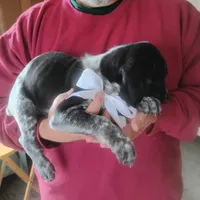 processed/a2194bc6-9d67-4e6b-adfe-9e345c36a889/listing/5dfb42d7-42ac-4ec7-85e3-b407ba7ac56a/a0eea9c5-7817-4ee8-89a0-2db162430bb0