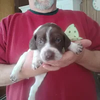 processed/a2194bc6-9d67-4e6b-adfe-9e345c36a889/listing/69d74794-b2f2-4ab6-a365-4420eaced0fe/48c3c325-9906-437e-aee3-7ec4ac13d3d7