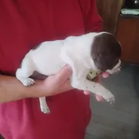 processed/a2194bc6-9d67-4e6b-adfe-9e345c36a889/listing/69d74794-b2f2-4ab6-a365-4420eaced0fe/55c3cb63-5559-47f6-878b-fcc8de0af083