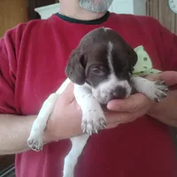 processed/a2194bc6-9d67-4e6b-adfe-9e345c36a889/listing/69d74794-b2f2-4ab6-a365-4420eaced0fe/c3ee8530-7d53-4631-abbc-49e7aa45c6f0