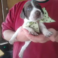 processed/a2194bc6-9d67-4e6b-adfe-9e345c36a889/listing/69d74794-b2f2-4ab6-a365-4420eaced0fe/cd85cc4f-6c73-4693-8ba2-00b107f0fac8