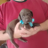 processed/a2194bc6-9d67-4e6b-adfe-9e345c36a889/listing/6f870712-2fe4-4bf6-87cb-689722aa9631/0c069adf-1ba6-412a-bbee-3b9b6b543a81