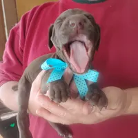 processed/a2194bc6-9d67-4e6b-adfe-9e345c36a889/listing/6f870712-2fe4-4bf6-87cb-689722aa9631/32b29693-0b77-488d-8e96-022d92fe4ff2