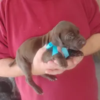 processed/a2194bc6-9d67-4e6b-adfe-9e345c36a889/listing/6f870712-2fe4-4bf6-87cb-689722aa9631/6e2c2f42-2530-482b-8668-1c769a75c814