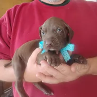 processed/a2194bc6-9d67-4e6b-adfe-9e345c36a889/listing/6f870712-2fe4-4bf6-87cb-689722aa9631/ac8e5555-e20c-4c1d-9bd3-5d26d716b836