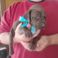 processed/a2194bc6-9d67-4e6b-adfe-9e345c36a889/listing/6f870712-2fe4-4bf6-87cb-689722aa9631/b16b21ac-5b3d-4824-9b18-44dd92ff186d