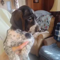 processed/a2194bc6-9d67-4e6b-adfe-9e345c36a889/listing/8d3d719a-f4e1-4485-a679-4407863ee9b4/043226d6-0528-4a69-8f6c-5cf31692840e