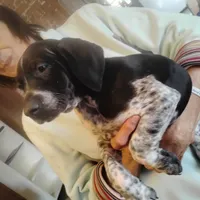 processed/a2194bc6-9d67-4e6b-adfe-9e345c36a889/listing/8d3d719a-f4e1-4485-a679-4407863ee9b4/607a820e-2fa7-49aa-a996-0b7649d79107