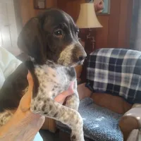 processed/a2194bc6-9d67-4e6b-adfe-9e345c36a889/listing/8d3d719a-f4e1-4485-a679-4407863ee9b4/6ba3482b-55e6-4c6f-9232-276f0d79df4c