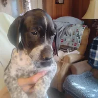 processed/a2194bc6-9d67-4e6b-adfe-9e345c36a889/listing/8d3d719a-f4e1-4485-a679-4407863ee9b4/8aec936e-6bd0-4c44-a9f1-2b91e8433b26