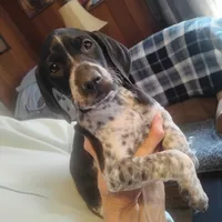 processed/a2194bc6-9d67-4e6b-adfe-9e345c36a889/listing/8d3d719a-f4e1-4485-a679-4407863ee9b4/a0cf50cb-fc1d-4f82-bbff-077723cb635f