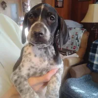 processed/a2194bc6-9d67-4e6b-adfe-9e345c36a889/listing/8d3d719a-f4e1-4485-a679-4407863ee9b4/e3be63bb-2bac-460f-b79a-e2b5a2ce9526