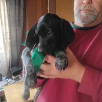 processed/a2194bc6-9d67-4e6b-adfe-9e345c36a889/listing/9bc0adbc-741a-412d-b98d-92bb95193adb/3eb8332e-8e9b-4334-a1d2-b1c76ddc588a