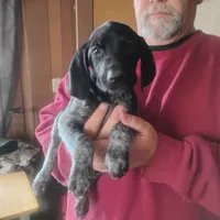 processed/a2194bc6-9d67-4e6b-adfe-9e345c36a889/listing/9bc0adbc-741a-412d-b98d-92bb95193adb/bf650a3b-8985-418e-afdc-c238533be168