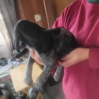 processed/a2194bc6-9d67-4e6b-adfe-9e345c36a889/listing/9bc0adbc-741a-412d-b98d-92bb95193adb/e6eb49b1-2ef7-4178-9e74-db0ba70e13ab