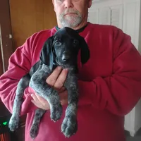 processed/a2194bc6-9d67-4e6b-adfe-9e345c36a889/listing/9bc0adbc-741a-412d-b98d-92bb95193adb/f64edfae-0d98-4569-b9d2-0e2a54654462