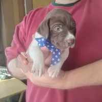 processed/a2194bc6-9d67-4e6b-adfe-9e345c36a889/listing/af30983a-235b-4341-9b86-750751cf33e0/1667f5d1-7b10-468e-9051-93412d8131c6