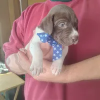 processed/a2194bc6-9d67-4e6b-adfe-9e345c36a889/listing/af30983a-235b-4341-9b86-750751cf33e0/19456786-1d11-41ee-be1b-3ec00ef1bb2f