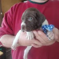 processed/a2194bc6-9d67-4e6b-adfe-9e345c36a889/listing/af30983a-235b-4341-9b86-750751cf33e0/907cb113-7800-47e6-8af5-f450e6c3a388