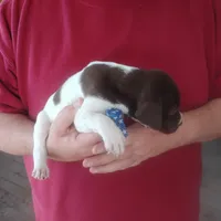 processed/a2194bc6-9d67-4e6b-adfe-9e345c36a889/listing/af30983a-235b-4341-9b86-750751cf33e0/a50691cc-6463-49a2-83ef-67642c4e7dc2