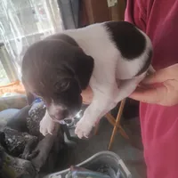 processed/a2194bc6-9d67-4e6b-adfe-9e345c36a889/listing/af30983a-235b-4341-9b86-750751cf33e0/cebdcfa1-e638-4170-a184-e30438c1780e