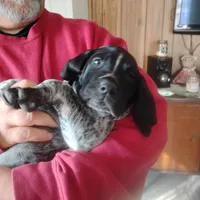 processed/a2194bc6-9d67-4e6b-adfe-9e345c36a889/listing/bc5086aa-9977-4425-a055-cbb815416cec/a3452915-834c-4e63-b62a-7eb86346ac55